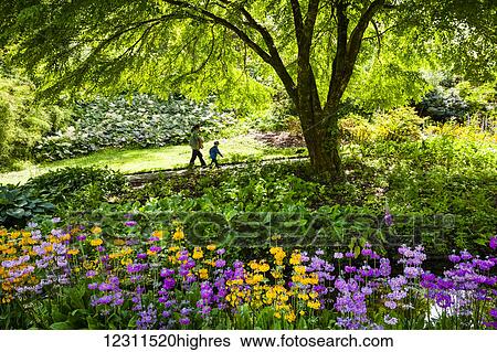 Stock Photograph - Mother and son walking through a colourful flower filled garden in Glenveagh Castle on Ireland's Wild Atlantic way; County Donegal, Ireland. Fotosearch