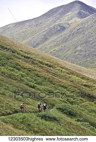 Stock Photograph - Mountain bikers on the Devils Pass Trail in the Chugach National Forest, Kenai Peninsula, Southcentral Alaska. Fotosearch