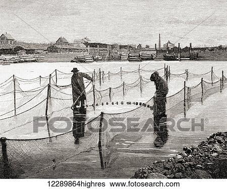 Stock Photograph - Mr. Atkin's method of penning salmon in the Penobscot River, Maine, America in the 19th century. From The Century Illustrated Monthly Magazine, published 1884.. Fotosearch