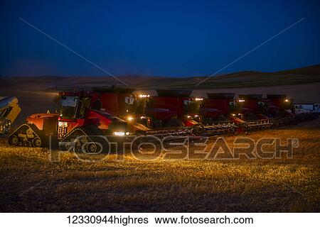 Stock Photograph - Multiple Combines Harvesting Grain At Dusk In The Palouse Region Of Eastern Washington; Washington, United States Of America. Fotosearch