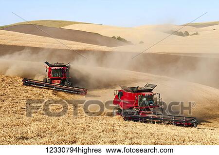 Stock Photograph - Multiple Combines Harvesting Grain On The Hills In The Palouse Region Of Eastern Washington; Washington, United States Of America. Fotosearch