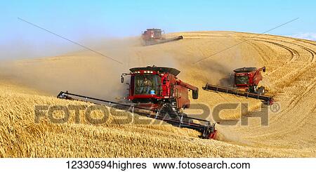 Multiple Combines Harvesting Wheat On The Hills Of The Palouse Region Of Eastern Washington; Washington, United States Of America View Large Photo Image Stock Photograph - Multiple Combines Harvesting Wheat On The Hills Of The Palouse Region Of Eastern Washington; Washington, United States Of America. Fotosearch