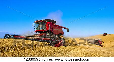 Stock Photograph - Multiple Combines Harvesting Wheat On The Hills Of The Palouse Region Of Eastern Washington; Washington, United States Of America. Fotosearch