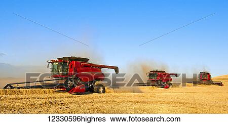 Multiple Combines Harvesting Wheat On The Hills Of The Palouse Region Of Eastern Washington; Washington, United States Of America View Large Photo Image Stock Photograph - Multiple Combines Harvesting Wheat On The Hills Of The Palouse Region Of Eastern Washington; Washington, United States Of America. Fotosearch