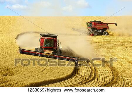 Multiple Combines Harvesting Wheat On The Hills Of The Palouse Region Of Eastern Washington; Washington, United States Of America View Large Photo Image Stock Photograph - Multiple Combines Harvesting Wheat On The Hills Of The Palouse Region Of Eastern Washington; Washington, United States Of America. Fotosearch