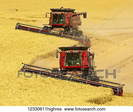 Multiple Combines Harvesting Wheat On The Hills In The Palouse Region Of Eastern Washington; Washington, United States Of America View Large Photo Image Stock Photograph - Multiple Combines Harvesting Wheat On The Hills In The Palouse Region Of Eastern Washington; Washington, United States Of America. Fotosearch