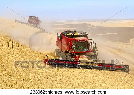 Multiple Combines Harvesting Wheat On The Hills Of The Palouse Region Of Washington; Washington, United States Of America View Large Photo Image Stock Photograph - Multiple Combines Harvesting Wheat On The Hills Of The Palouse Region Of Washington; Washington, United States Of America. Fotosearch
