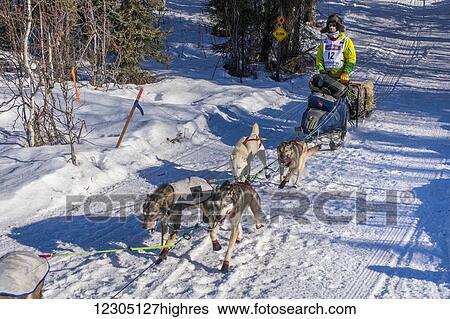 Stock Photograph - Nicolas Petit and team run down the trail on Long Lake shortly after leaving the re-start in Willow, Alaska during the 2016 Iditarod. Fotosearch