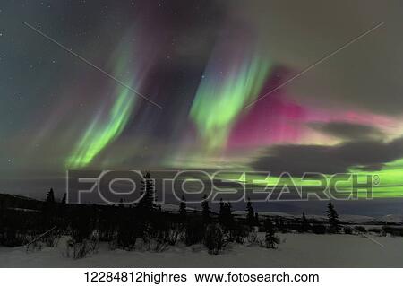 Stock Photograph - Northern Lights over winter landscape near Whitehorse, Yukon Territory, Canada. Fotosearch