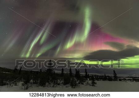Stock Photograph - Northern Lights over winter landscape near Whitehorse, Yukon Territory, Canada. Fotosearch