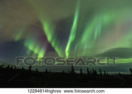 Stock Photograph - Northern Lights over winter landscape near Whitehorse, Yukon Territory, Canada. Fotosearch