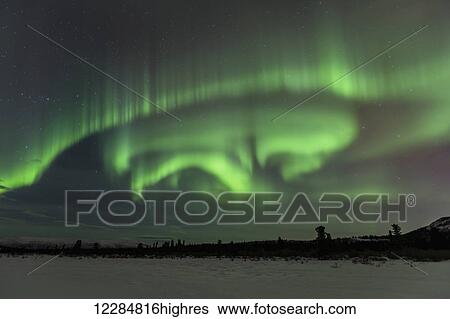 Stock Photograph - Northern Lights over winter landscape near Whitehorse, Yukon Territory, Canada. Fotosearch