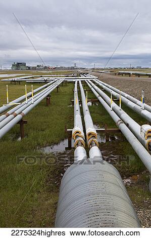 Stock Photograph - Oil Pipelines With Gathering Center 1 (Gc1) In The Prudhoe Bay Oil Field, North Slope, Arctic Alaska, Summer. Fotosearch