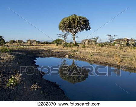 Ol Pejeda Conservancy; Kenya View Large Photo Image Stock Image - Ol Pejeda Conservancy; Kenya. Fotosearch