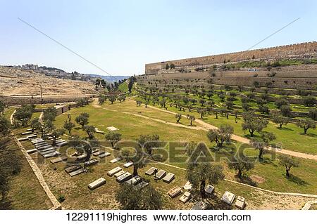 Stock Photograph - Old city walls and a cemetery; Jerusalem, Israel. Fotosearch