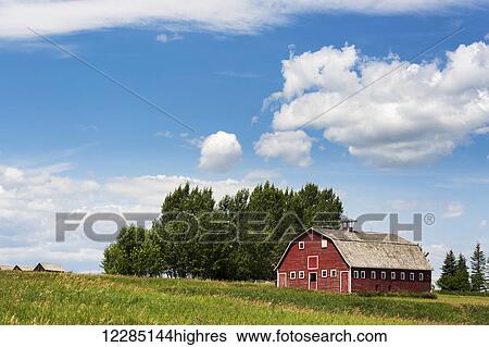 Stock Photograph - Old red wooden barn on a hill side with trees, blue sky and clouds; Alberta, Canada. Fotosearch