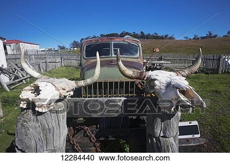 Old truck, Estancia Harberton; Tierra del Fuego, Argentina View Large Photo Image Stock Image - Old truck, Estancia Harberton; Tierra del Fuego, Argentina. Fotosearch