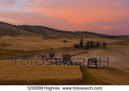 One Or More Combines Offloading Grain To A Tractor Pulled Grain Cart In Southeast Washington; Washington, United States Of America View Large Photo Image Stock Photograph - One Or More Combines Offloading Grain To A Tractor Pulled Grain Cart In Southeast Washington; Washington, United States Of America. Fotosearch