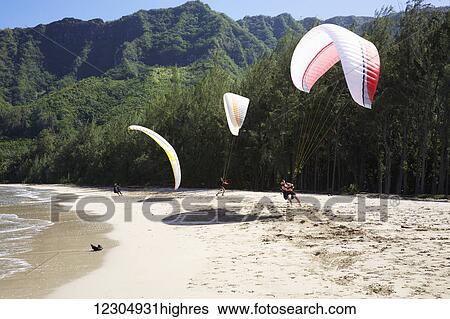 Stock Photograph - Paragliders at Kahana Bay Beach Park; Oahu, Hawaii, United States of America. Fotosearch