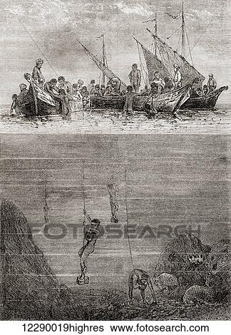 Stock Photograph - Pearl divers off the coast of the Island of Ceylon in the 18th century. From Les Merveilles de la Science, published c. 1870. Fotosearch