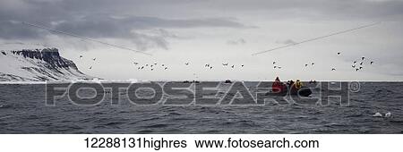 People riding in an inflatable boat in the arctic ocean with a view of the snowy cliffs along the coastline; Spitsbergen, Svalbard, Norway View Large Photo Image Stock Photograph - People riding in an inflatable boat in the arctic ocean with a view of the snowy cliffs along the coastline; Spitsbergen, Svalbard, Norway. Fotosearch