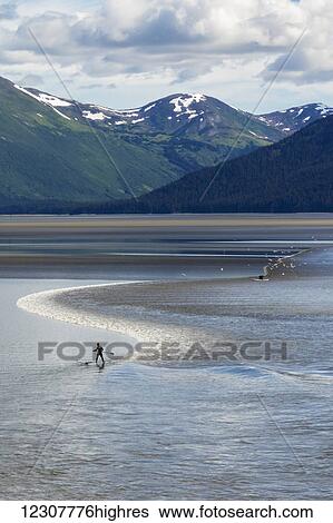 People riding the bore tide on paddle boards, Turnagain Arm, Southcentral Alaska, summer View Large Photo Image Stock Photograph - People riding the bore tide on paddle boards, Turnagain Arm, Southcentral Alaska, summer. Fotosearch