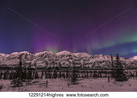 Pink and green aurora borealis over Alaska Range in Broad Pass, Interior Alaska View Large Photo Image Stock Photograph - Pink and green aurora borealis over Alaska Range in Broad Pass, Interior Alaska. Fotosearch
