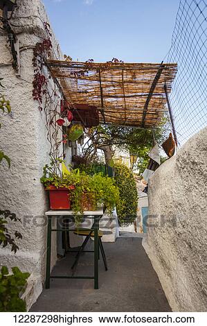 Stock Photograph - Plants growing on a table outside a house with concrete walls; Athens, Greece. Fotosearch