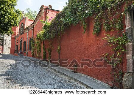 Stock Photograph - Plants growing on the top of a wall and hanging down along a cobblestone street; San Miguel de Allende, Guanajuato, Mexico. Fotosearch