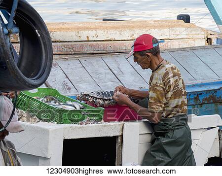 Port fisherman; Tangier, Morocco View Large Photo Image Stock Photograph - Port fisherman; Tangier, Morocco. Fotosearch
