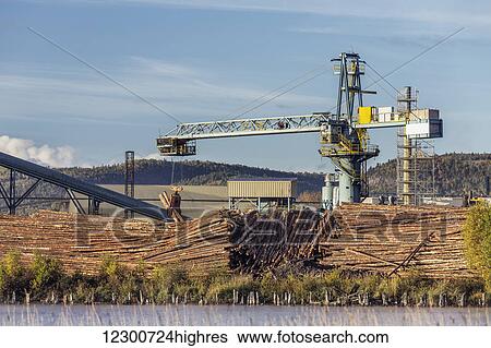 Stock Photograph - Pulp and paper mill; Thunder Bay, Ontario, Canada. Fotosearch