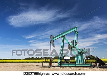 Stock Photograph - Pump jack in a field with a flowering canola field, blue sky and clouds in background; Acme, Alberta, Canada. Fotosearch