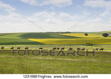 Stock Photograph - Race horses training near Averbury; England. Fotosearch