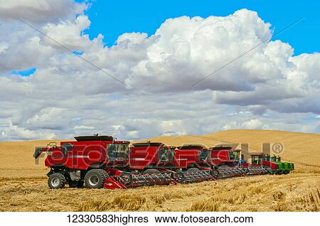 Stock Photograph - Red Combines In A Row In A Grain Field At Harvest Time; Washington, United States Of America. Fotosearch