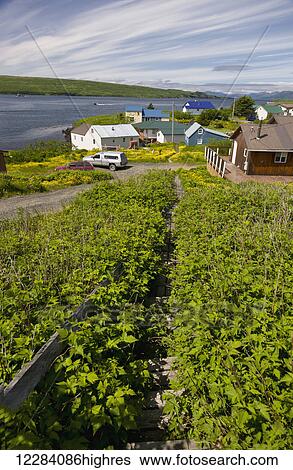Stock Photograph - Residential homes along the coast, Sand Point, Southwestern Alaska, USA, Summer. Fotosearch