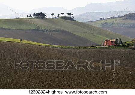 Stock Photograph - Rolling hills with the Maiella mountains in the background; Abruzzi, Italy. Fotosearch