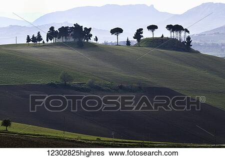 Stock Photograph - Rolling hills with the Maiella mountains in the background; Abruzzi, Italy. Fotosearch