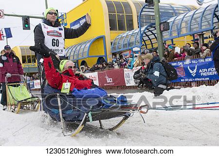 Stock Photograph - Ryan Redington and team leave the ceremonial start line with an Iditarider during the 2016 Iditarod. Fotosearch
