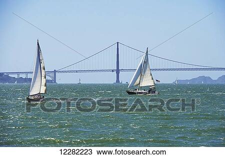 Sailboats in San Francisco Bay, Golden Gate Bridge; San Francisco, California, United States of America View Large Photo Image Stock Image - Sailboats in San Francisco Bay, Golden Gate Bridge; San Francisco, California, United States of America. Fotosearch