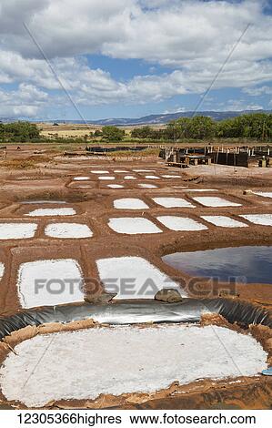 Salt collection ponds near Hanapepe; Kauai, Hawaii, United States of America View Large Photo Image Stock Photograph - Salt collection ponds near Hanapepe; Kauai, Hawaii, United States of America. Fotosearch