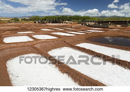 Salt collection ponds near Hanapepe; Kauai, Hawaii, United States of America View Large Photo Image Stock Photograph - Salt collection ponds near Hanapepe; Kauai, Hawaii, United States of America. Fotosearch
