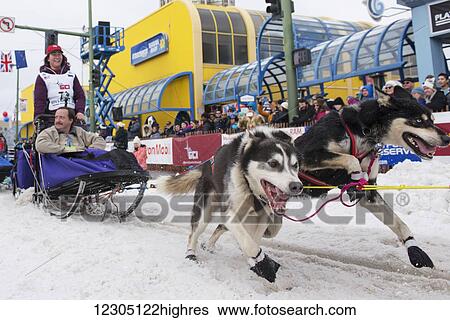 Stock Photograph - Sarah Stokey and team leave the ceremonial start line with an Iditarider during the 2016 Iditarod. Fotosearch