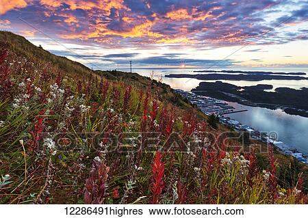 Stock Photograph - Scenic autumn view of Kodiak from a colorful hillside at sunset, Southwest Alaska. Fotosearch