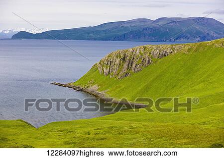 Stock Photograph - Scenic of grass covered coastal bluffs covered, Sand Point, Popof Island, Southwestern Alaska, USA, Summer. Fotosearch