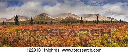 Stock Photograph - Scenic panorama of fog lifting on the Alaska Range, Denali National Park, Interior Alaska, Autumn. Fotosearch