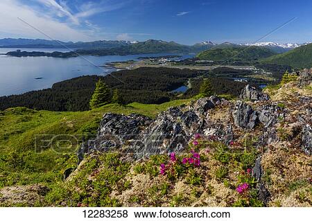 Scenic view from Pillar Mountain overlooking coastal Kodiak Island, Southwest Alaska, summer View Large Photo Image Stock Photo - Scenic view from Pillar Mountain overlooking coastal Kodiak Island, Southwest Alaska, summer. Fotosearch