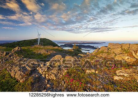 Stock Photograph - Scenic view of Kodiak Island with Kamchatka rhododendrons in the foreground, Southwest Alaska, summer. Fotosearch