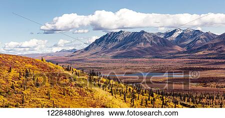 Scenic view of peak fall colors along Matanuska Valley, Southcentral Alaska View Large Photo Image Stock Photograph - Scenic view of peak fall colors along Matanuska Valley, Southcentral Alaska. Fotosearch