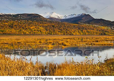 Stock Photograph - Scenic view of Potter Marsh in the Anchorage Coastal Wildlife Refuge in autumn, South-central Alaska. Fotosearch