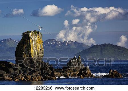 Scenic view of sea stacks along the coast of Kodiak Island near Kodiak, Chiniak Bay, Southwest Alaska, summer View Large Photo Image Stock Photograph - Scenic view of sea stacks along the coast of Kodiak Island near Kodiak, Chiniak Bay, Southwest Alaska, summer. Fotosearch